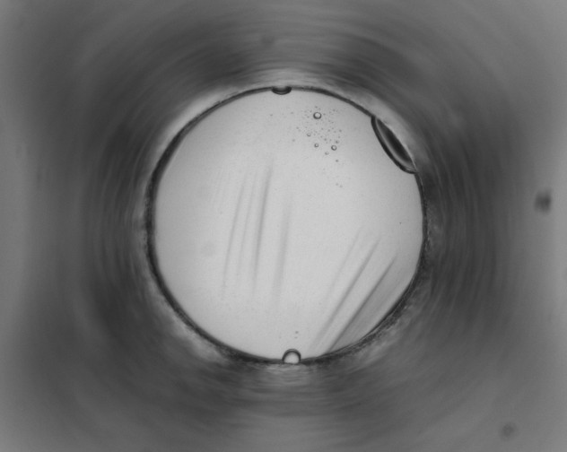 X0000101661142200808071015