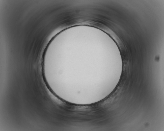 X0000101661143200808071015