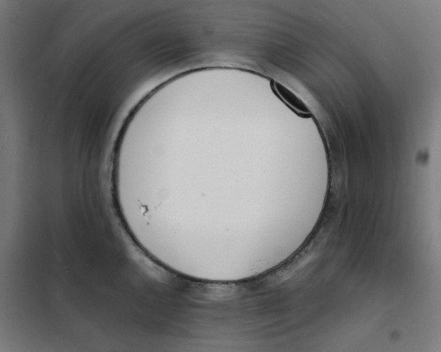X0000101661144200808071015
