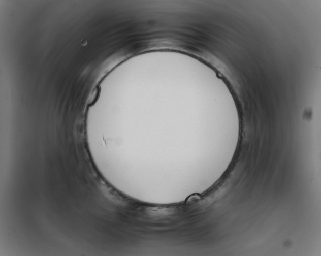 X0000101661145200808071015
