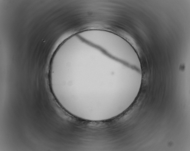X0000101661146200808071015
