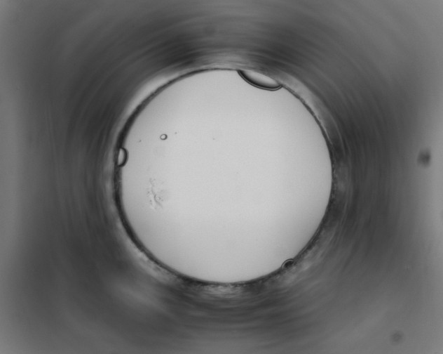 X0000101661147200808071015