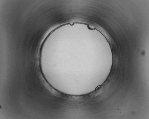 X0000101661148200808071015