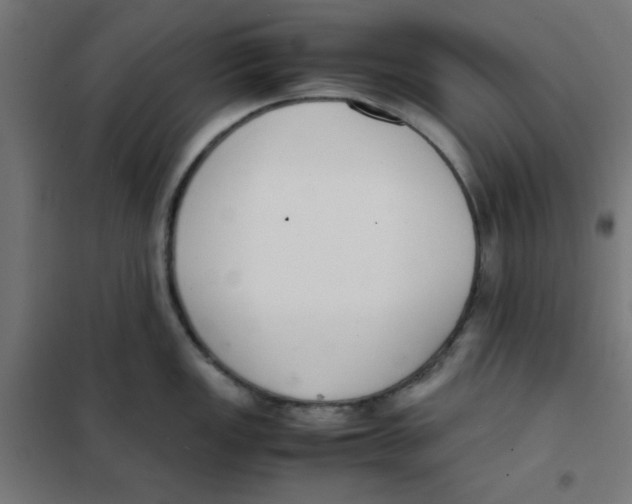 X0000101661149200808071015
