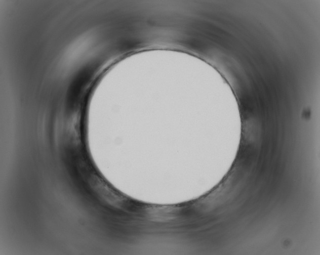 X0000101661150200808071015