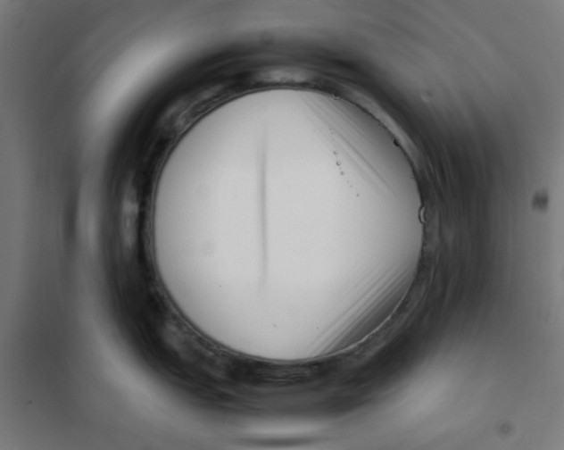 X0000101661151200808071015