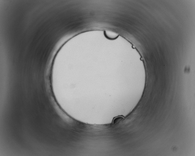 X0000101661152200808071015