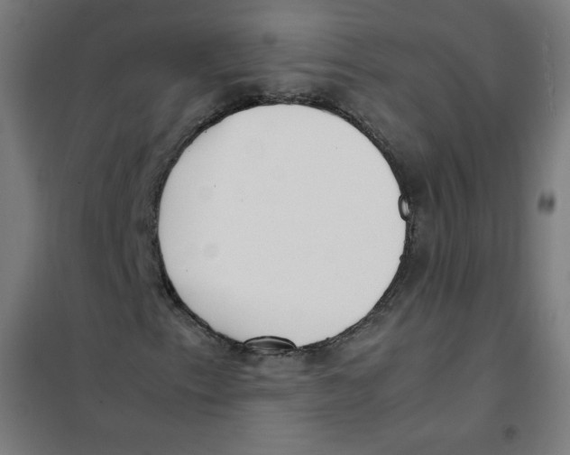 X0000101661153200808071014