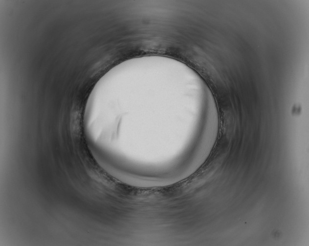 X0000101661154200808071014