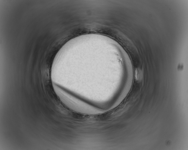 X0000101661155200808071014