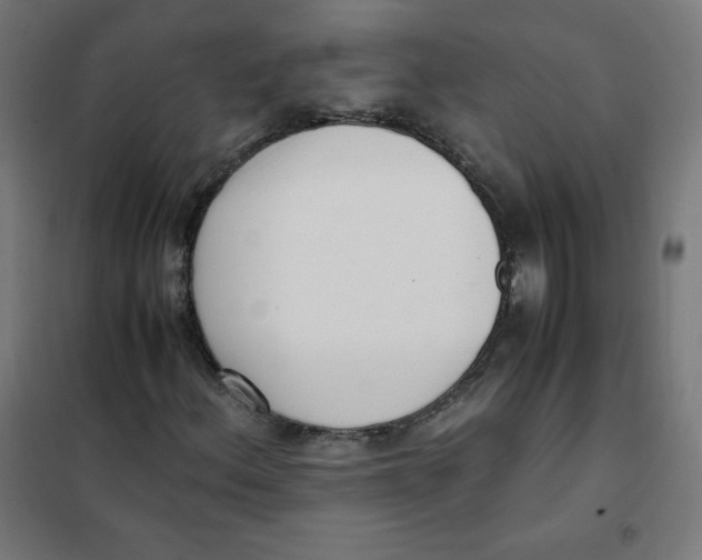 X0000101661156200808071014