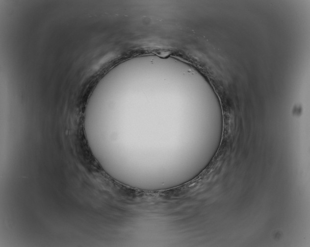 X0000101661157200808071014