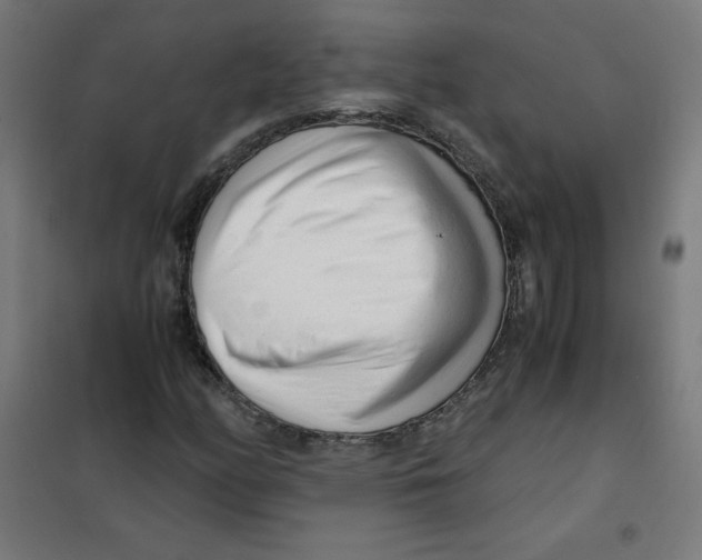 X0000101661158200808071014
