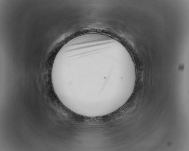 X0000101661159200808071014