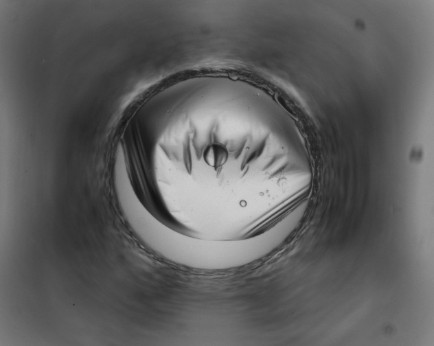 X0000101661160200808071014
