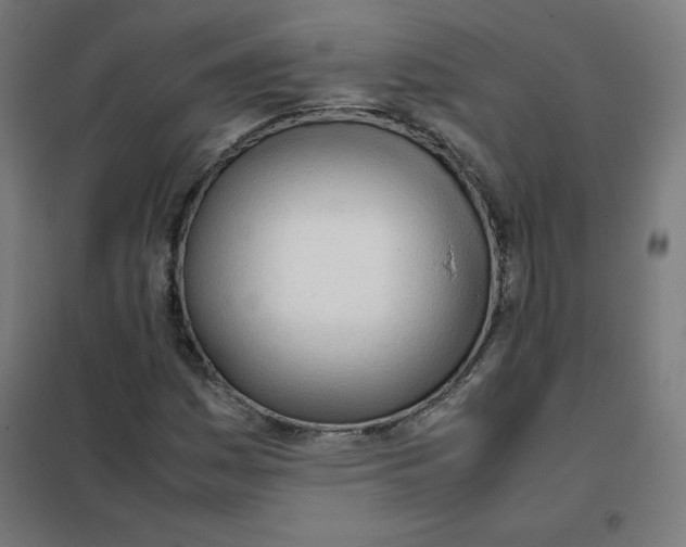 X0000101661161200808071014
