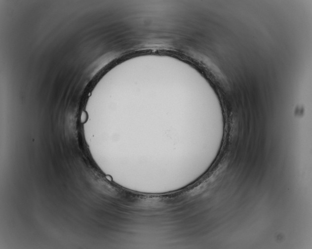 X0000101661162200808071014