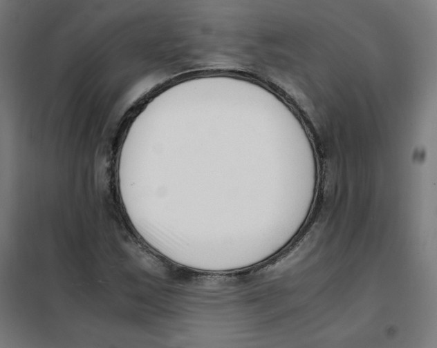 X0000101661163200808071014