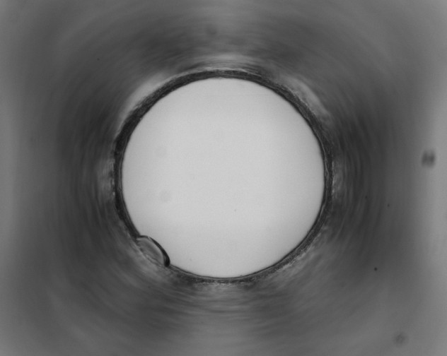 X0000101661164200808071014