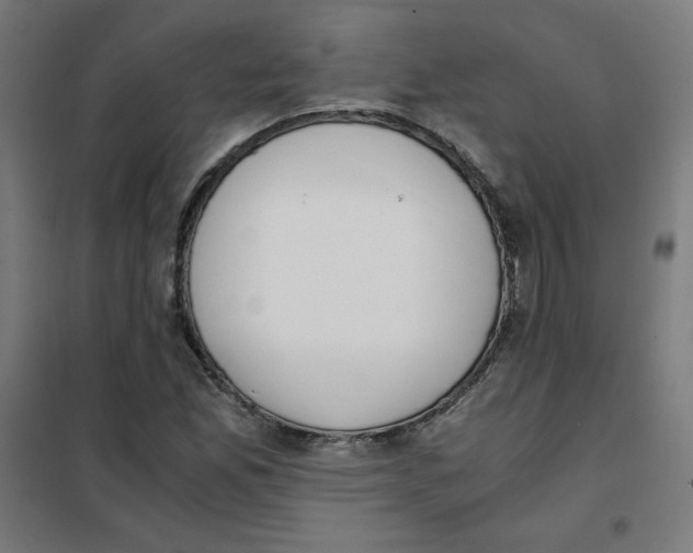 X0000101661165200808071014