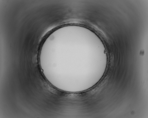X0000101661166200808071014