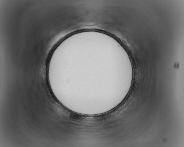 X0000101661167200808071014