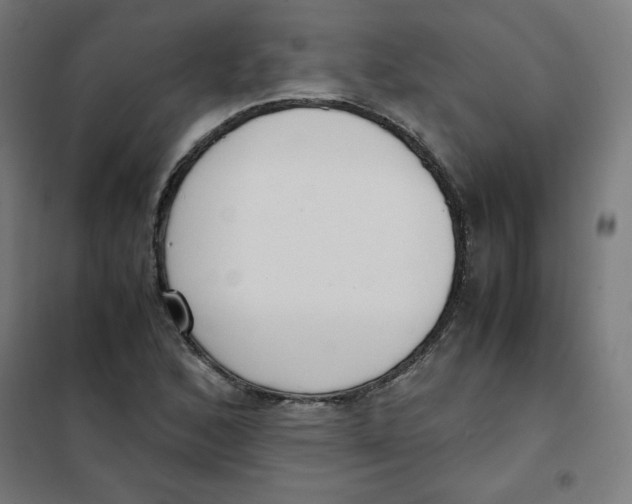X0000101661168200808071014