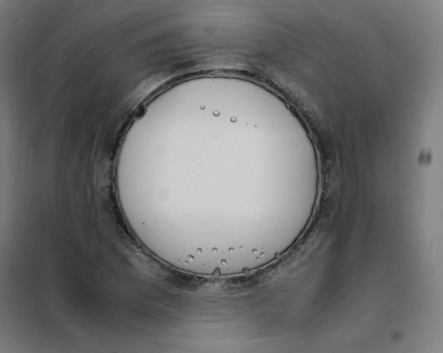 X0000101661169200808071014