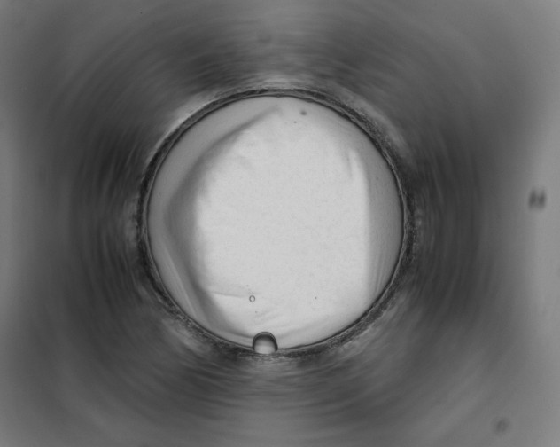 X0000101661170200808071014
