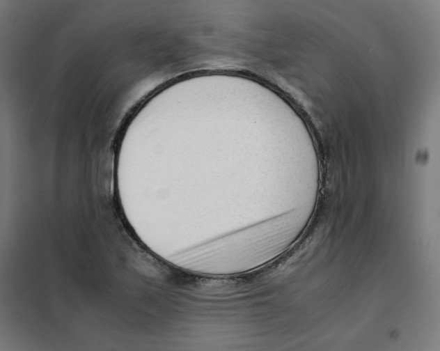 X0000101661171200808071014