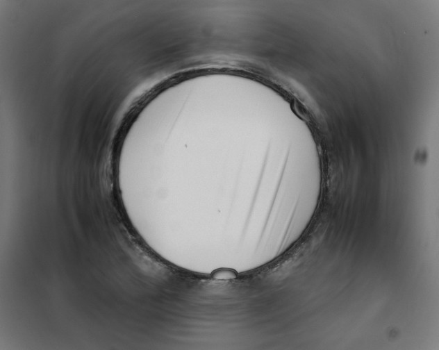X0000101661172200808071014