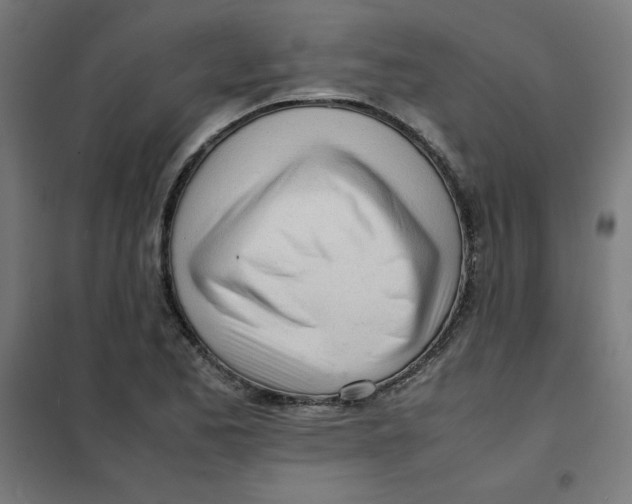X0000101661173200808071014