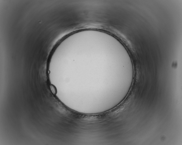 X0000101661174200808071014