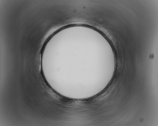 X0000101661175200808071014