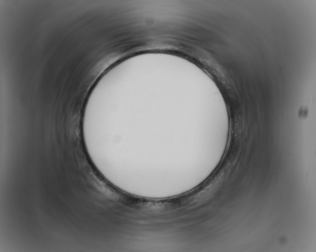 X0000101661177200808071014