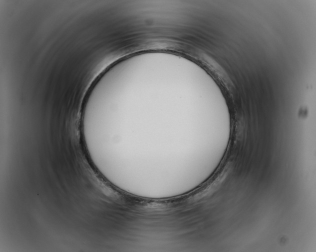 X0000101661178200808071014