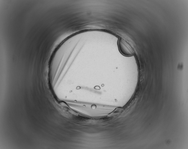 X0000101661179200808071014