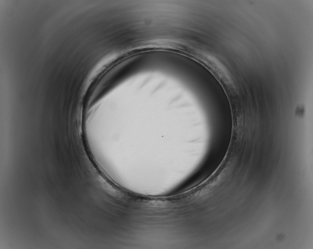 X0000101661180200808071014