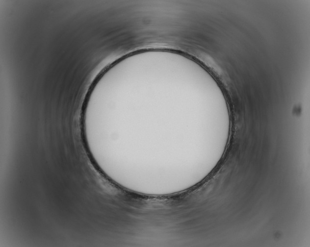 X0000101661181200808071014