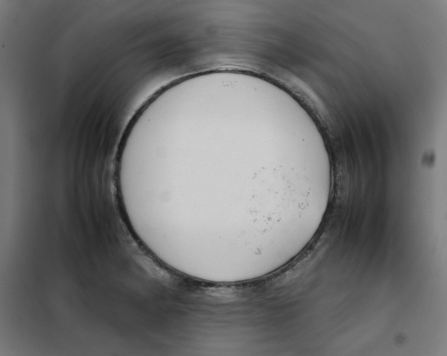 X0000101661182200808071014