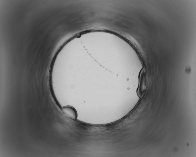 X0000101661183200808071014