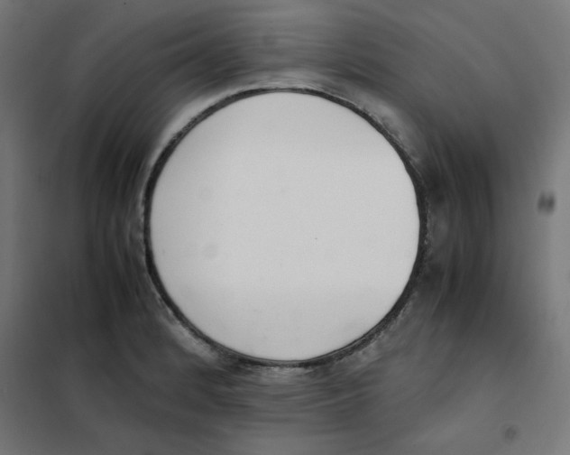 X0000101661184200808071014