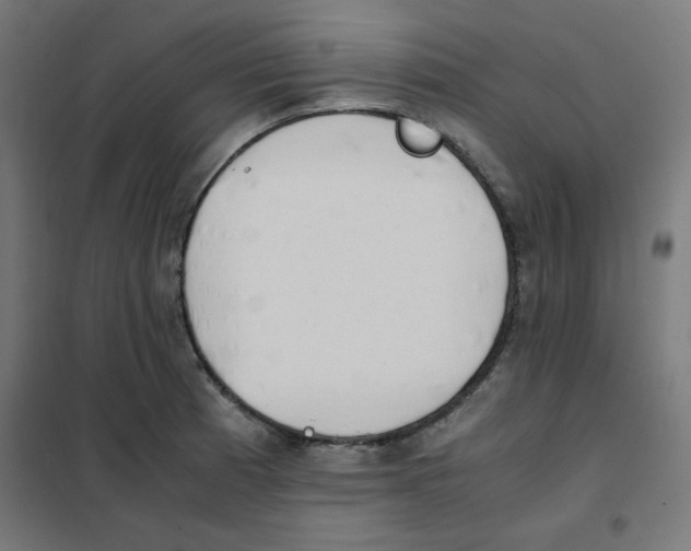 X0000101661185200808071014