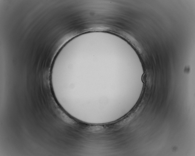 X0000101661186200808071014