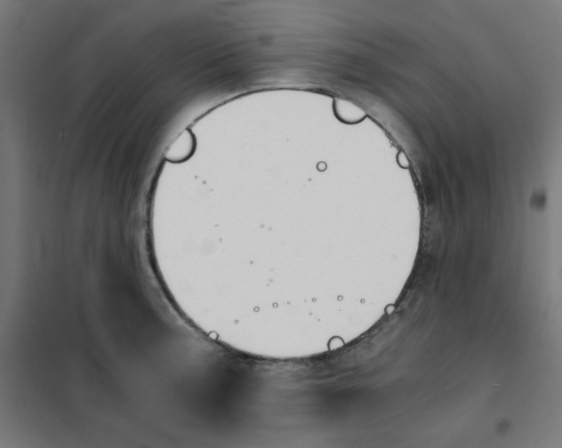 X0000101661187200808071014