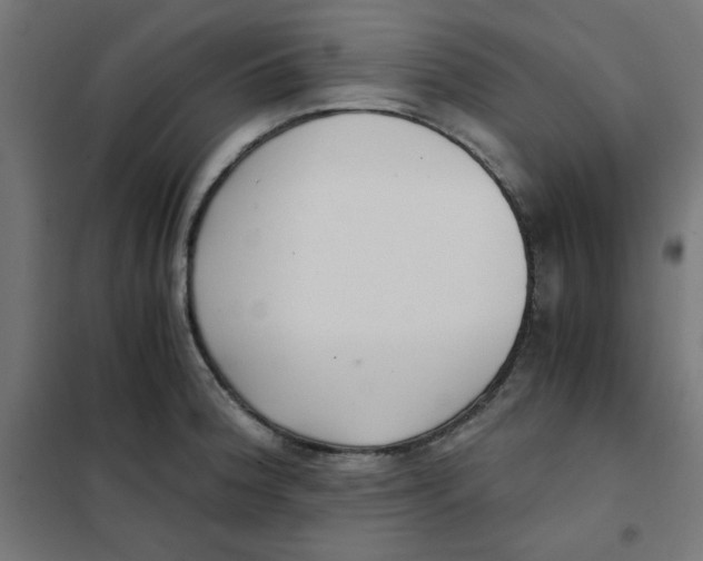X0000101661188200808071014