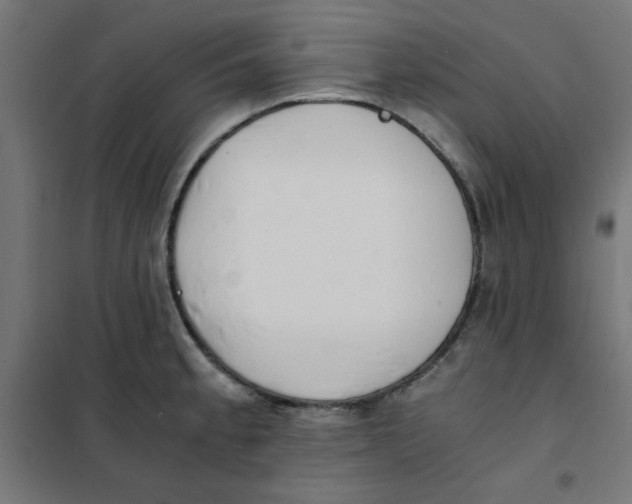X0000101661189200808071014