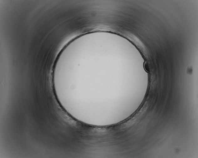 X0000101661190200808071014