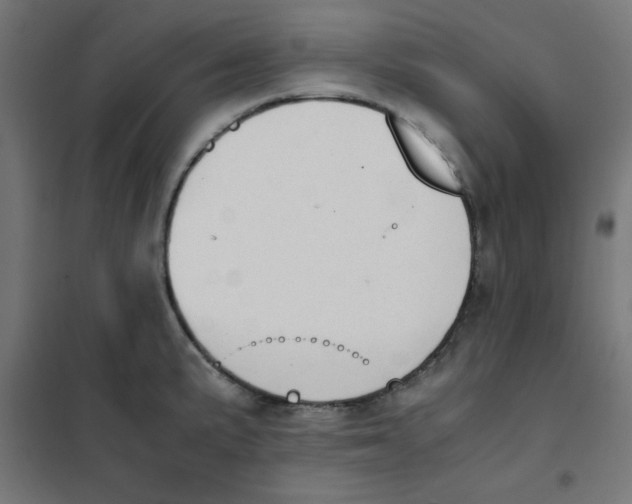 X0000101661191200808071014