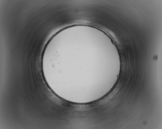 X0000101661192200808071013